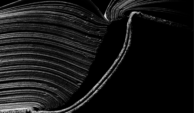 Photography exhibition at Gallery A: „De Natura Libris“ by Álvaro Alejandro López 